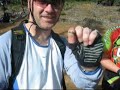 MTB Mundaring to York