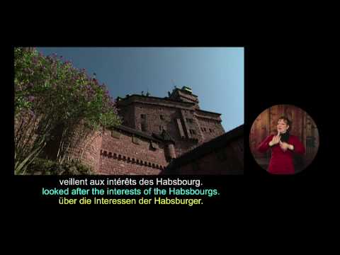 wdb a la rencontre des vins