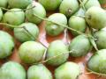 Hot Maagaya Pickle with Raw Mangoes video