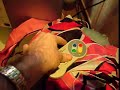 **edit** this is for sale again, the buyer crapped out so go grab yourself a one of a kind: cgi.ebay.co.uk so here's a demo of my snes pc i put together, it was done quickly so you'll have to forgive the poor picture quality/shakeycam. this video shows the system booting and the custom bios and windows xp boot screen. it also shows the systems installed currently and the joypad in action. to exit games i just press l+r+start+select the pc inside the snes is an epia m10000 itx motherboard and ...