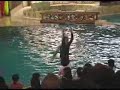 Dolphin-Show-part-IV