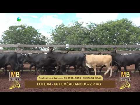 541� LEIL�O VIRTUAL MB LEIL�ES