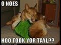 Funnnnnnnnnnnnny Just Funny! Dont Give Up! Watch It All