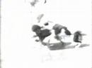 Dangurs Dog Attak Akids