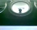 Krrillo Subwoofer mg zs beni
