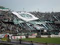 el verde y huila