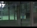 El fantasma de mi