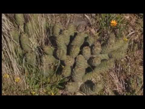 Jansenville - South Africa Travel Channel 24