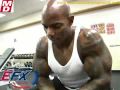 Flex-Wheeler-i-primi