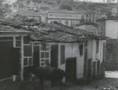 Ver Video