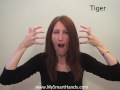 tiger-ASL-sign-for-t