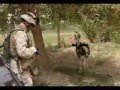 US Military/Marines Tribute with a lot of (combat) footage