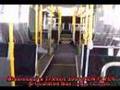 MISSISSAUGA TRANSIT 2008 NEW FLYER ARTICULATED BUS at MISSIS