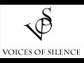 VOICES OF SILENCE-THUNDERGROUND VOICES OF SILENCE-THUNDERGROUND