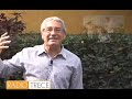 editorial  javier solórzano