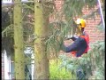 Weihnachtsbaum 2011