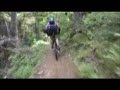 McKenzie River Trail, OR - July, 2008