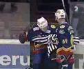 hockey fight with referee
