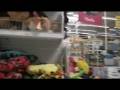 Toys R us Fun