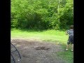 videos de Darrian Flip Vid
