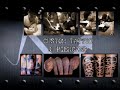 Cat Tattoo - Dallas #1 Tattoo Studio
