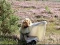 play video on Last.fm
