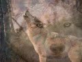 sacred spirit -   (  Enigma )  Yeha Noha