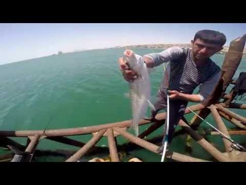 рыбалка на каспийский море бесплатно рыбалка на каспийский море бесплатно