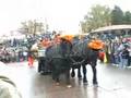 Disneyland Paris Pre Parade Halloween 2008