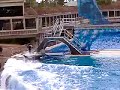 Believe, Sea World SD #9