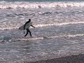 Flakes in the water (remix)
