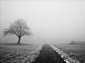 november`s doom- all the beauty twice again