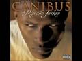 videos de Canibus PL∞ ft. Bruce Lee