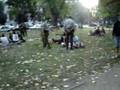 represión forestal