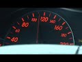 RACE HORSE ESCAPES ON FREEWAY WITH SPEEDING CARS