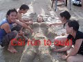 nst