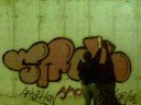 hisotrial del snock