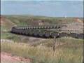 BNSF Coal Train at Sully Springs, North Dakota