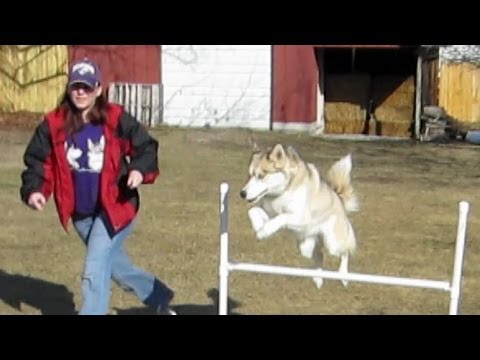 how to practice agility