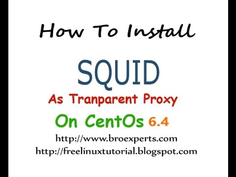 how to troubleshoot squid proxy