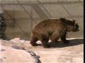 Bad Bertrich - Ausflugsziele in der Region