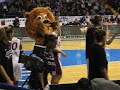 Umana Reyer Venezia Basket - Sanford/Andrade Big Bang