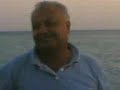 Sameh(233)