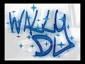 DJ WALLY - GAITEIRO