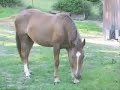 voici une ptite vid�o de ce film avec l'accident tragique qui � dedans !!!
laissez des comms !!