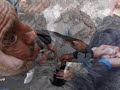 \"wwf \"I Letturisti (4�P.) \"Soccorso Cuccioli\"