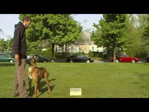 how to isolate the square