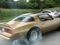 Muscle Cars bornout