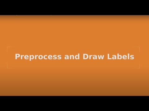 Preprocess and Draw Labels