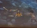 Under the Sea Video in Taiwan Under the Sea Video in Taiwan